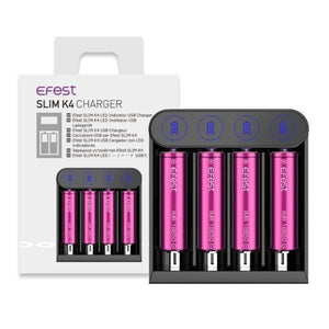 eFest Battery Chargers